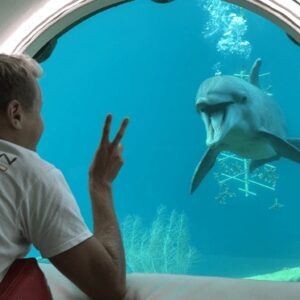 Ontdek de wonderen van Curaçao Sea Aquarium