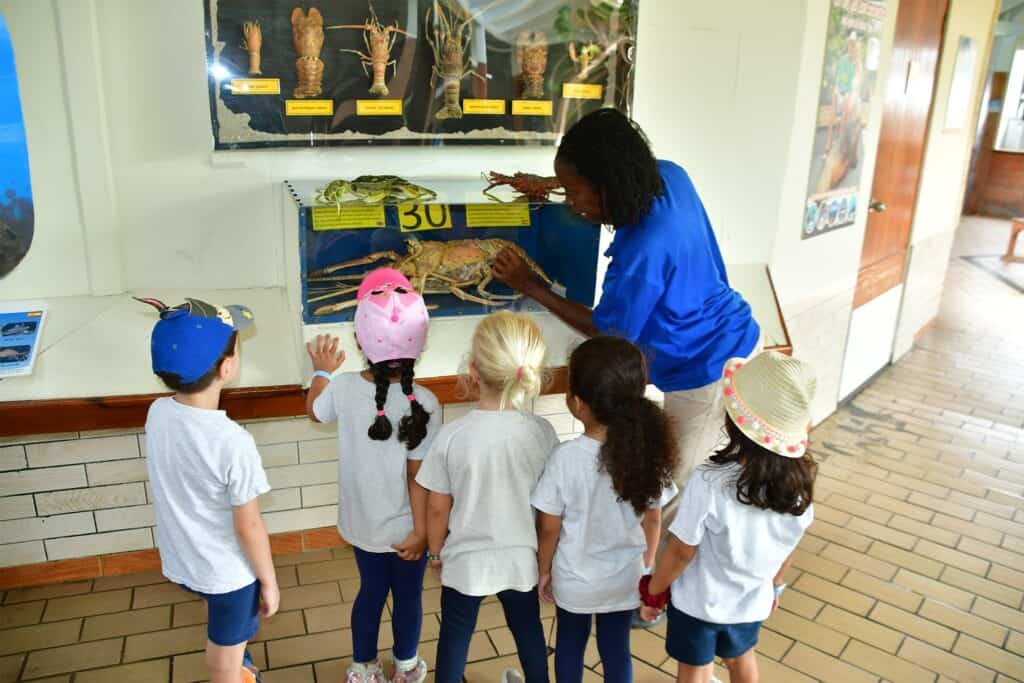 Ontdek mariene educatie in het Curaçao Sea Aquarium