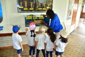 Ontdek mariene educatie in het Curaçao Sea Aquarium