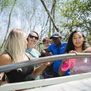 Explore the Natural Wonders of Christoffelpark with a Guided Jeep Safari