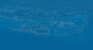 Duik in avontuur met de Animal Encounters Experience op Curaçao