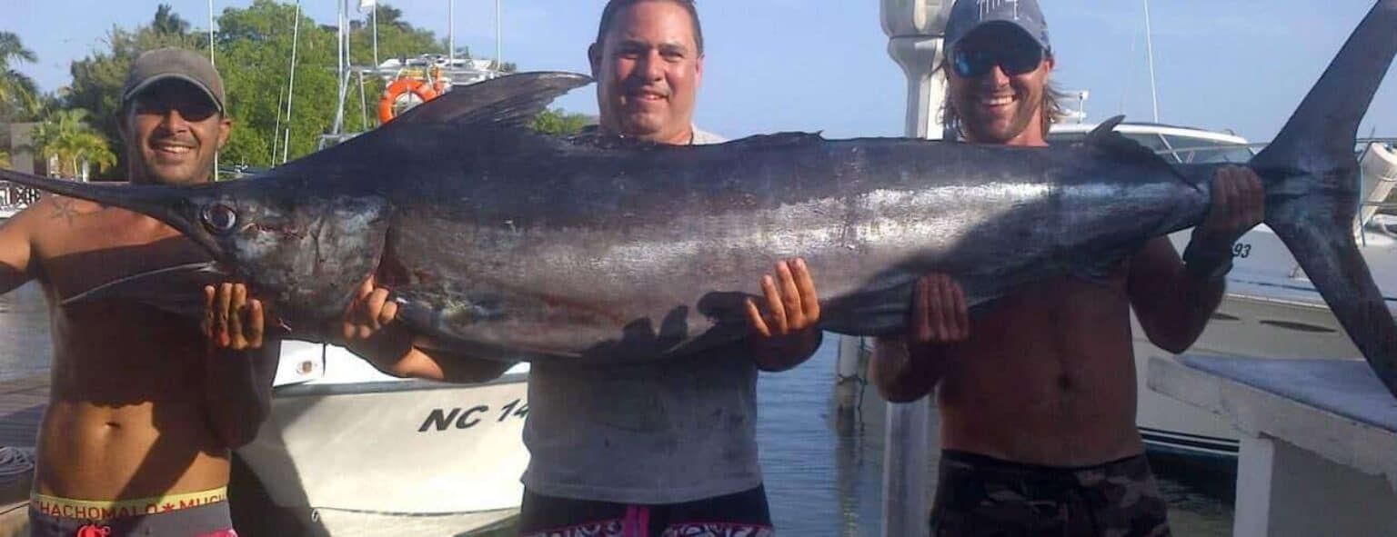 YKnot Fishing
