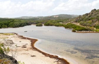 Is Curaçao tropical or desert