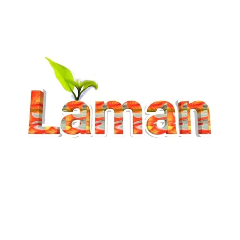 Laman