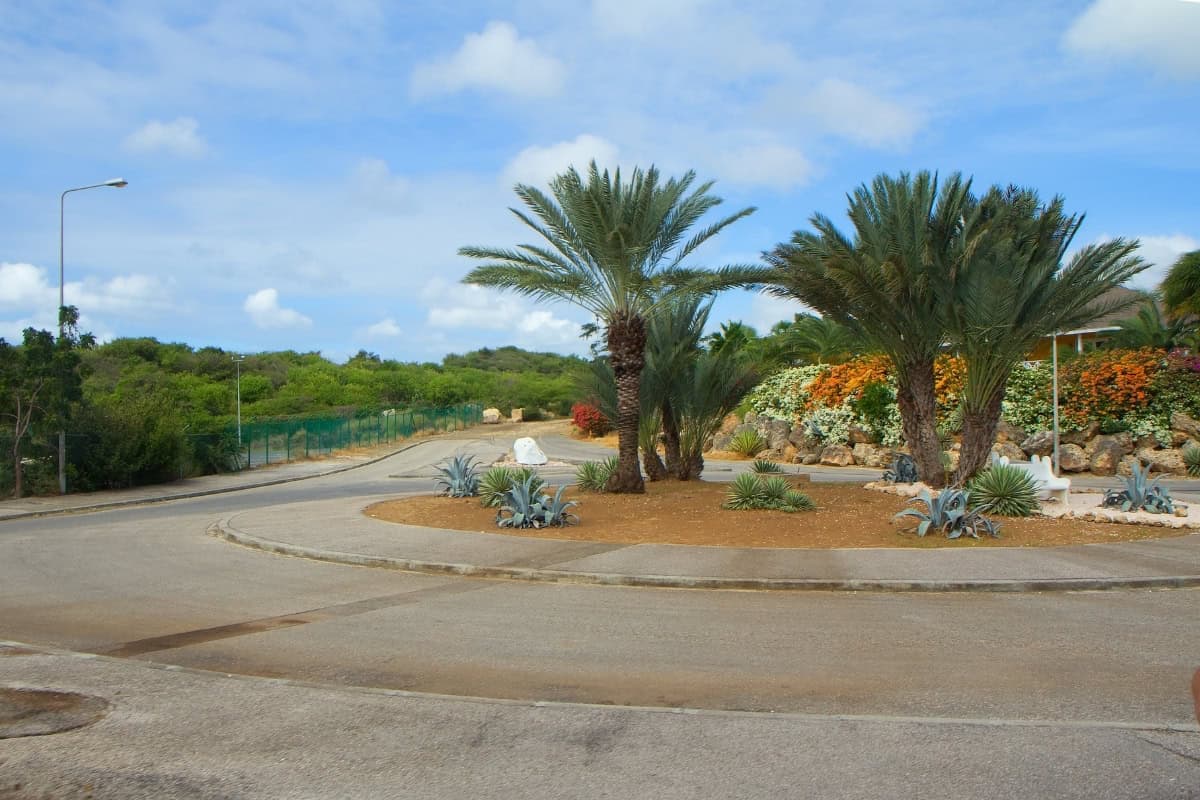 What side of the road does Curaçao drive on