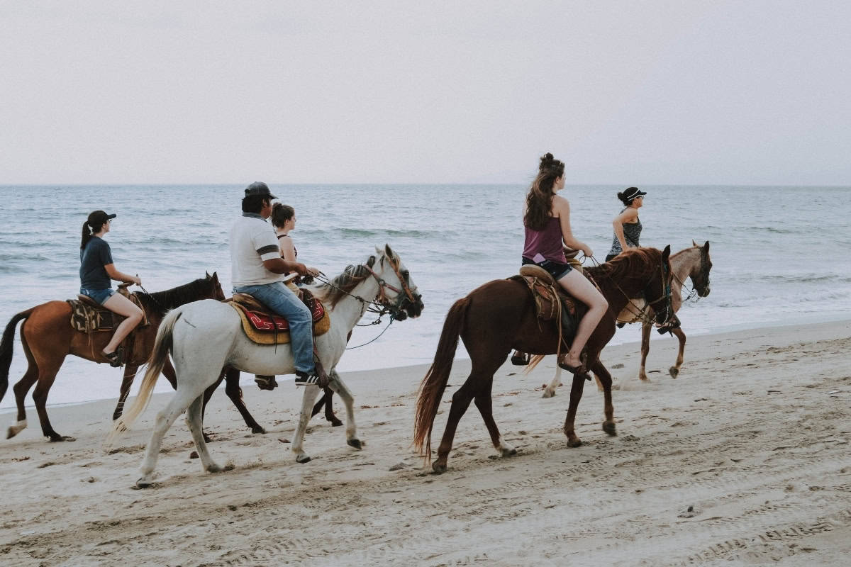 Horse Riding Curacao