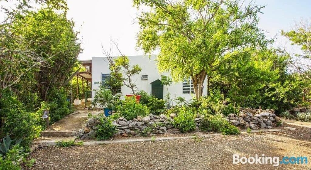 Dividivi-Appartementen