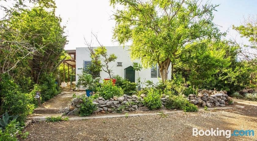 Dividivi-Appartementen