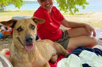 Pippi’s opvang Curaçao