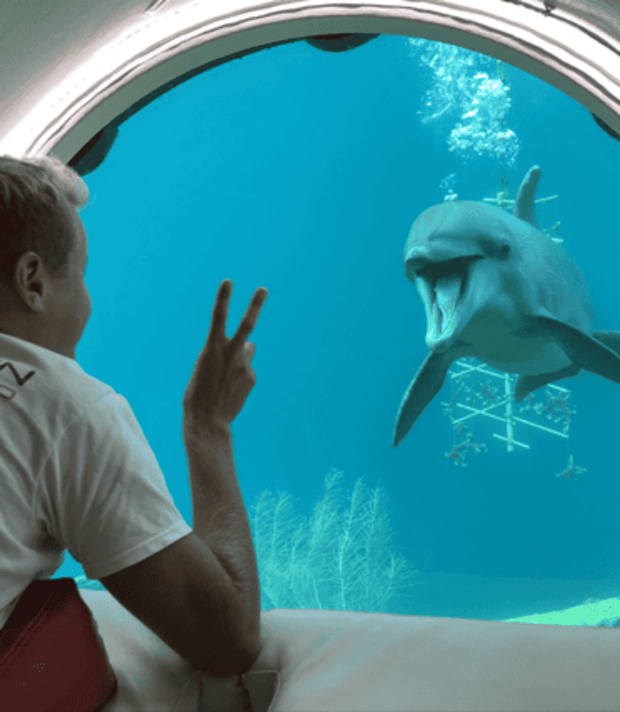 Animal Encounter