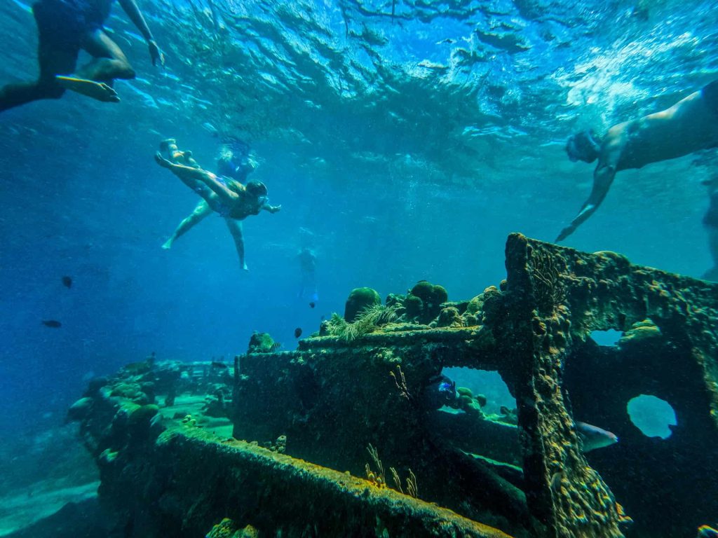 Experience a vibrant underwater world with BlueFinn Charters Snorkeling Trip, where you’ll swim above sunken shipwrecks teeming with coral and fish in crystal-clear blue waters, illuminated by sunlight filtering through the surface.