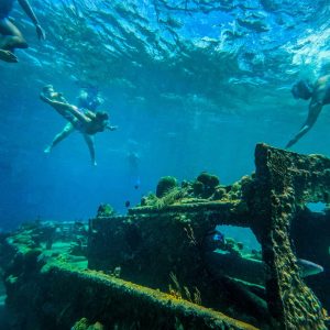 Experience a vibrant underwater world with BlueFinn Charters Snorkeling Trip, where you’ll swim above sunken shipwrecks teeming with coral and fish in crystal-clear blue waters, illuminated by sunlight filtering through the surface.
