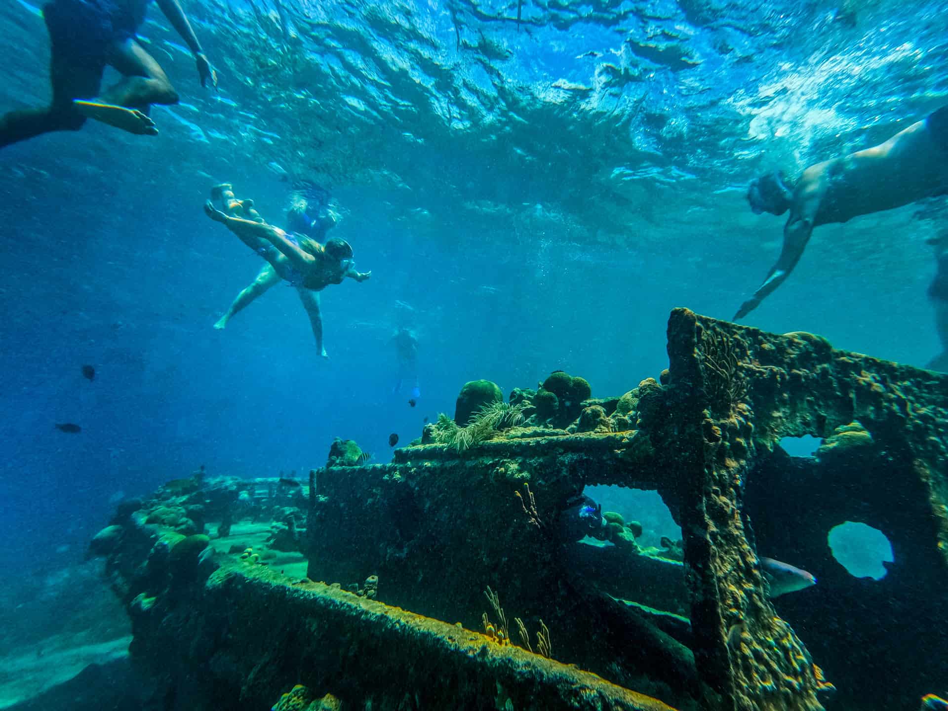 Experience a vibrant underwater world with BlueFinn Charters Snorkeling Trip, where you’ll swim above sunken shipwrecks teeming with coral and fish in crystal-clear blue waters, illuminated by sunlight filtering through the surface.