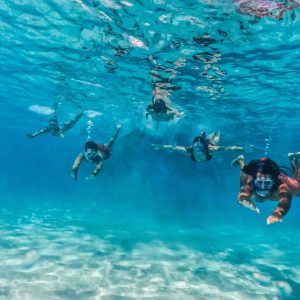 BlueFinn Charters Snorkeling Trip