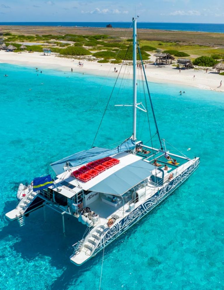 On the BlueFinn Charters Klein Curacao Trip, a white catamaran with patterned sides floats on turquoise water near a sandy beach. Guests relax onboard or swim nearby, with small huts, green shrubs, and ocean views under a blue sky.