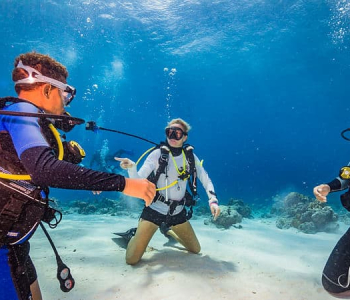 Dive into Adventure with the PADI Open Water Course in Curacao