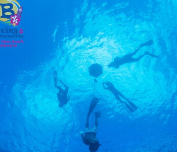 Discover the Thrills of the PADI Freediver Basic & Freediver Courses in Curacao