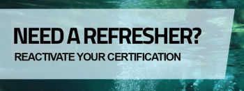 PADI ReActivate Course in Curacao: Dive Back Into Adventure!