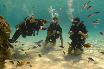 Ontdek de onderwaterwereld met de PADI Open Water Diver-cursus bij Coral Divers