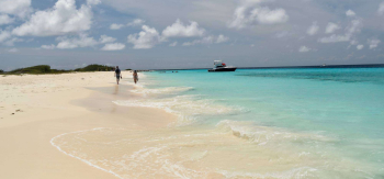 Discover the Hidden Gem of Klein Curacao with Jan Thiel Diving