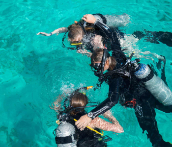 Ontdek duiken met Blue Bay Duiken & Watersporten op Curaçao