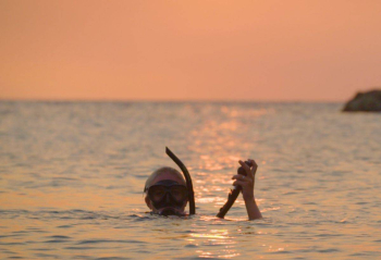 Ervaar de magie van een 1 Tank begeleide nachtduik op Curacao