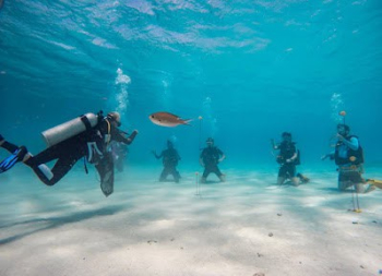 Excursiones de buceo Curaçao Siteseeing