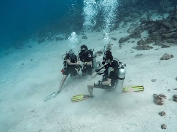 Hazte Freediver en Curaçao