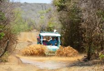 Explore Curaçao with Arie-Jan van Marion: Your Expert Chauffeur and Guide