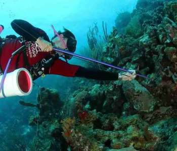 Lionfish Scuba Dive Experience in Curaçao