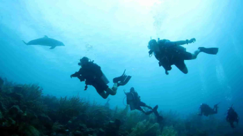 Complete su certificación de buceador de aguas abiertas en el paraíso: el curso de referencia en Curazao