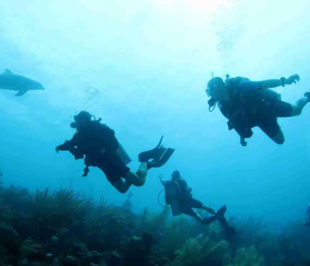 Complete Your Open Water Diver Certification in Paradise: The Referral Course in Curaçao