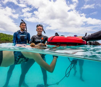 Discover Freediving Session in Curacao