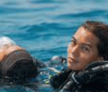 Master the PADI Rescue Diver Course in Curaçao
