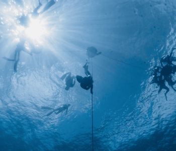 Dive into Serenity: Freedive Center Curacao