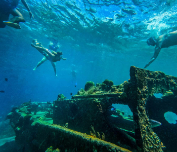 BlueFinn Charters Snorkeling Trip