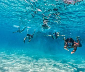 BlueFinn Charters Curacao snorkelingcuracao