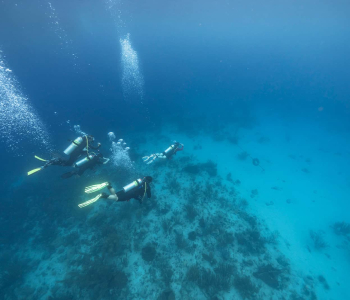 PADI Rescue Diver Course in Curaçao
