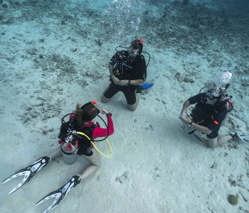 Voltooi je Open Water Referral op Curaçao met Go West Diving