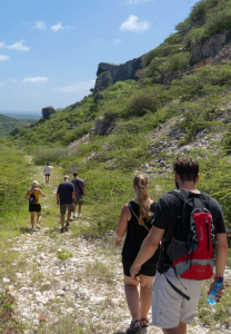 Experience the Sunrise Hike at Tafelberg: A Journey to Remember
