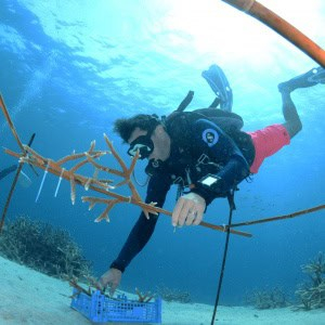 Buceo en barco con dos tanques AM en Curazao: una aventura inolvidable