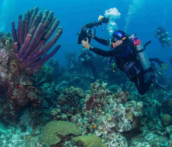 Dive into Adventure with the 1 Day Unlimited Shore Diving Package at Ocean Encounters