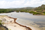 ¿Curaçao es un destino tropical o desértico? Descubre el clima y la naturaleza de la isla