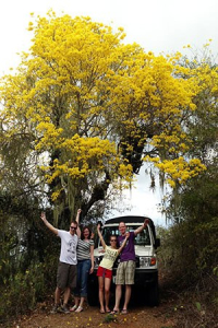 Discover Curaçao’s Best Tour: National Park Jeep Safari