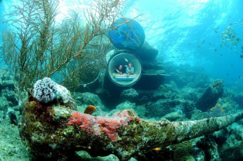 Verken de oceaanlens – Rondleiding in het Curaçao Sea Aquarium Park