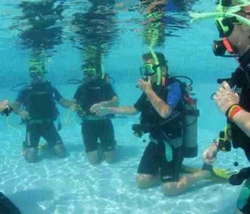 Refresh Your Scuba Skills with the PADI ReActivate Program at Ocean Encounters in Curaçao