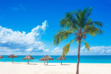 ¿cuándo es el mejor momento para visitar Curaçao? Tips y recomendaciones