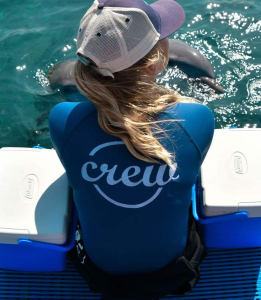 Become a Dolphin Trainer at Dolphin Academy Curaçao: An Unforgettable Experience