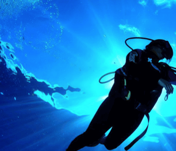 Become a PADI Divemaster in Curacao: Your Path to Professional Diving