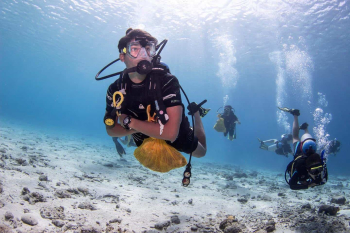Clean Up Dive in Curaçao: Join the Mission to Keep Our Oceans Clean